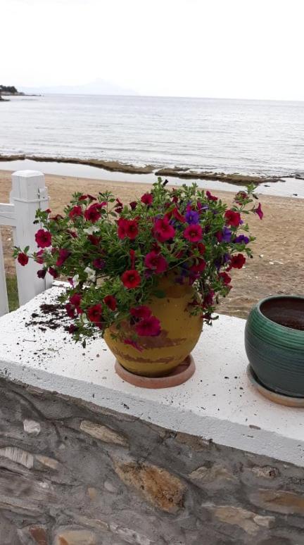 House Kokkalas On The Beach Pyrgadikia Exterior photo