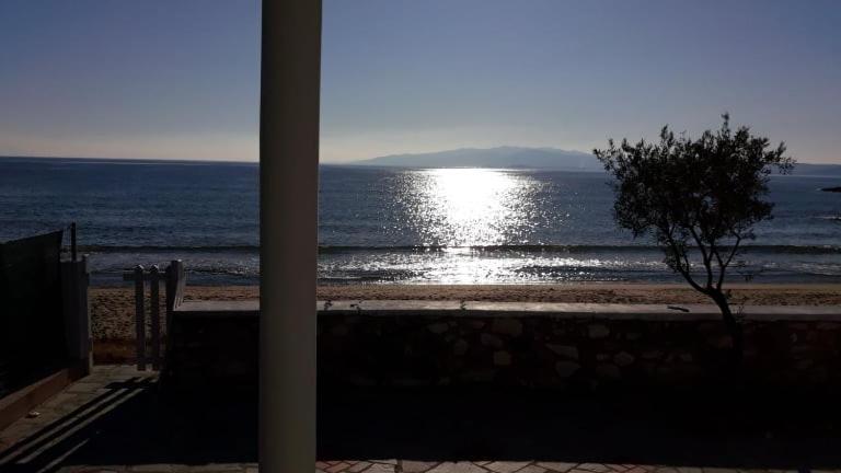 House Kokkalas On The Beach Pyrgadikia Exterior photo